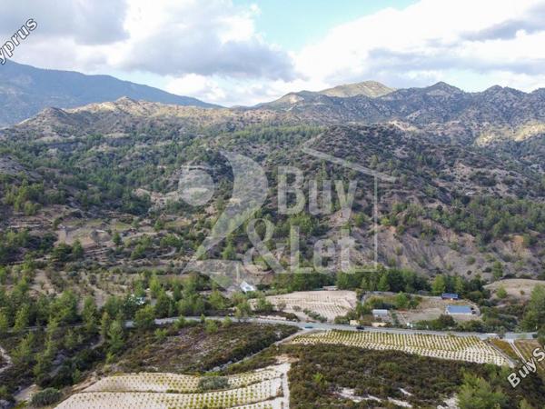 land for sale agios mamas limassol 1614505 image 14922365