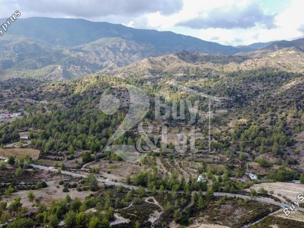 land for sale agios mamas limassol 1614505 image 14922370
