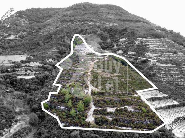 land for sale agios mamas limassol 1614505 image 14922374
