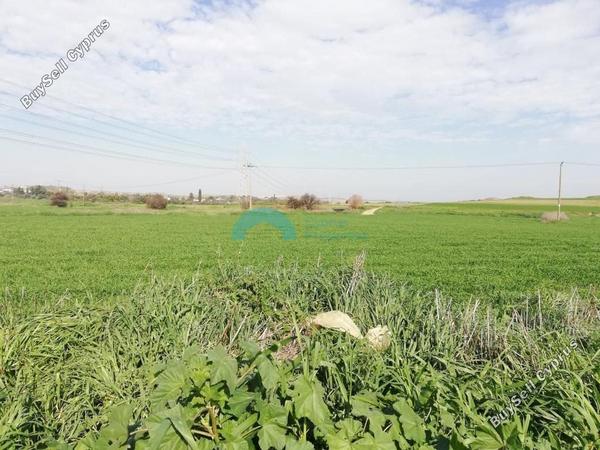 land for sale dali nicosia 841505 image 5394391