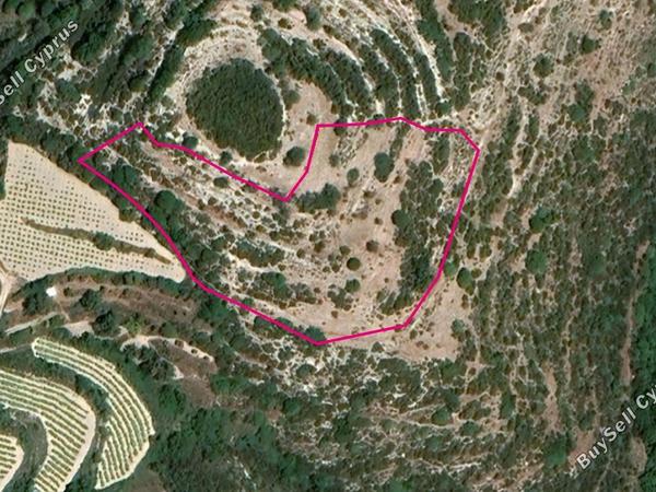 land for sale koili paphos 1057505 image 13347799