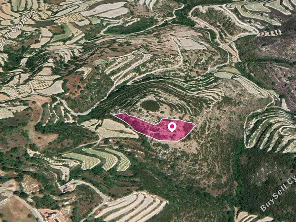 land for sale koili paphos 1057505 image 13347810