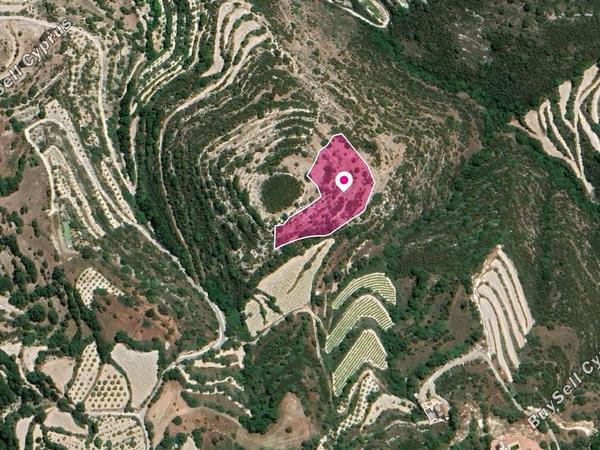 land for sale koili paphos 1057505 image 13347825