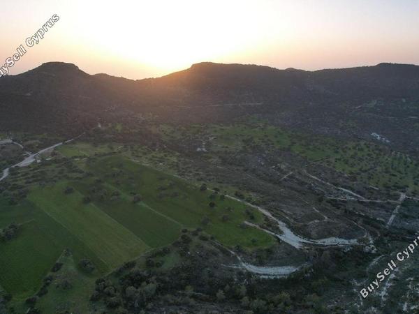 land for sale neo chorio paphos 1897505 image 14205973