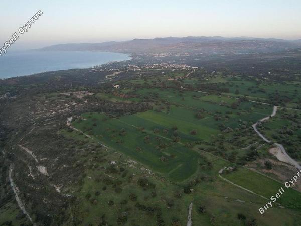 land for sale neo chorio paphos 1897505 image 14205974