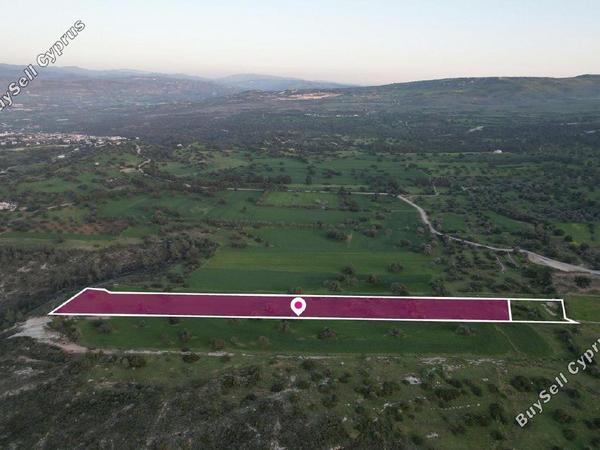 land for sale neo chorio paphos 1897505 image 14205975