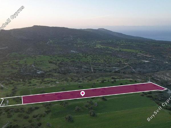 land for sale neo chorio paphos 1897505 image 14205976