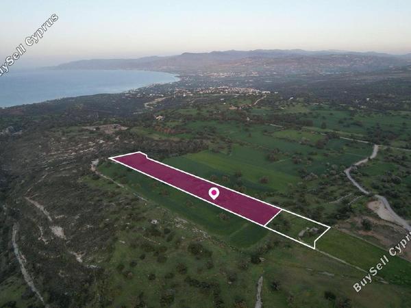 land for sale neo chorio paphos 1897505 image 14205977