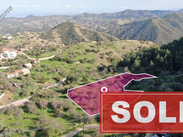 land sold pigenia nicosia 1298505 image 2884737