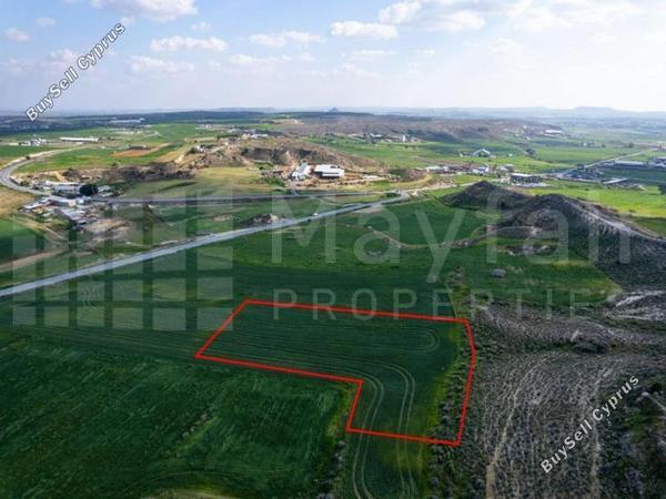 plot for sale kallithea nicosia 7871505 image 13374016