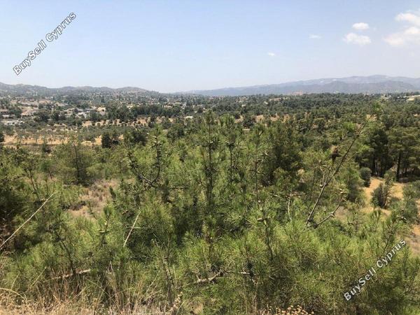 plot for sale kornos larnaca 1889505 image 7125928