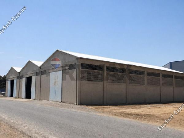 studio warehouse for rent ypsonas limassol 8798505 image 16716497
