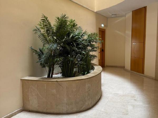 2 bedroom apartment for rent neapolis limassol 8746605 image 16443513