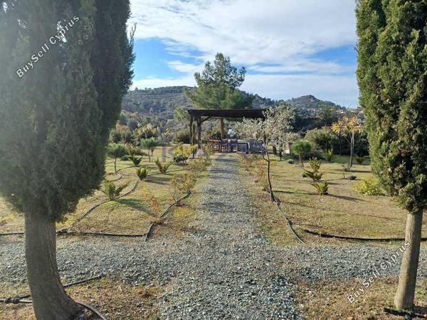 land for sale kellaki limassol 8897605 image 17348738