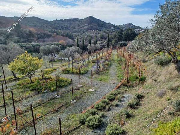 land for sale kellaki limassol 8897605 image 17348739