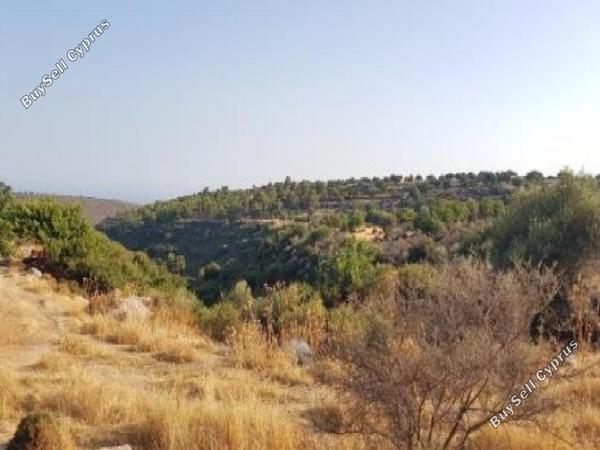 land for sale pachna limassol 826605 image 15600891