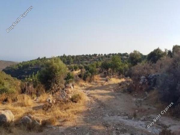 land for sale pachna limassol 826605 image 15600892