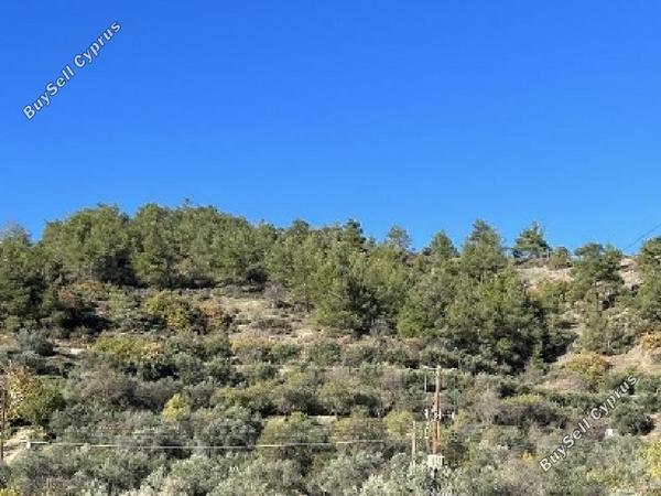 land for sale palaichori morfou nicosia 1443605 image 15600247