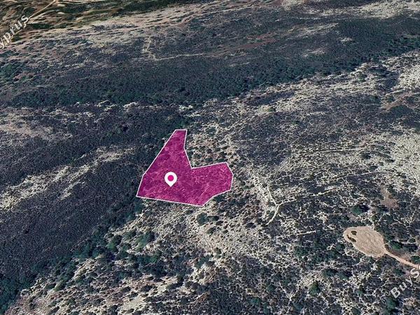 land for sale platanisteia limassol 1183605 image 14890619