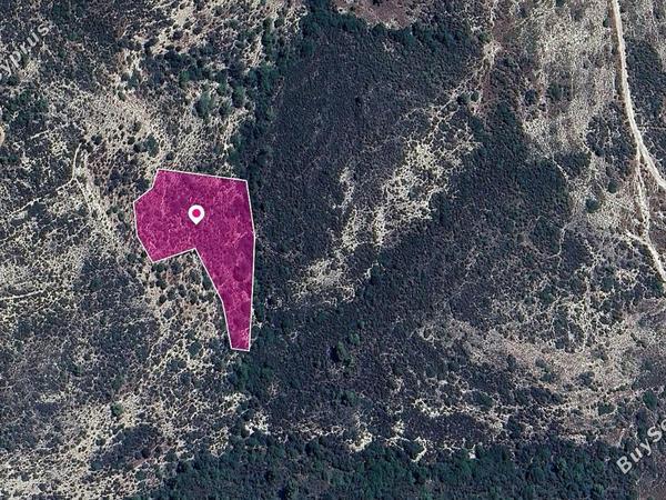 land for sale platanisteia limassol 1183605 image 14890635