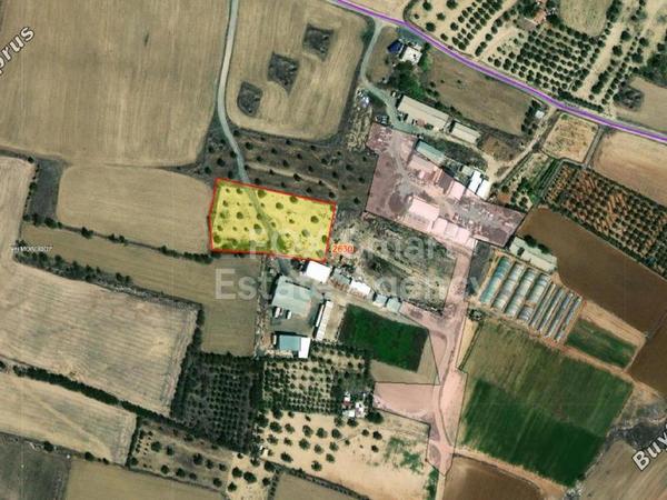 land for sale psimolofou nicosia 1151605 image 5138167