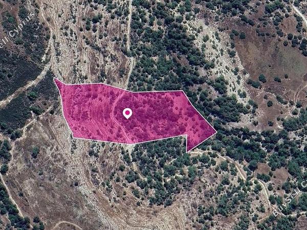 land for sale archimandrita paphos 8629705 image 15869601