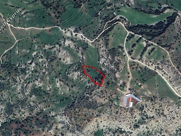land for sale episkopi pafou paphos 1197705 image 2806839