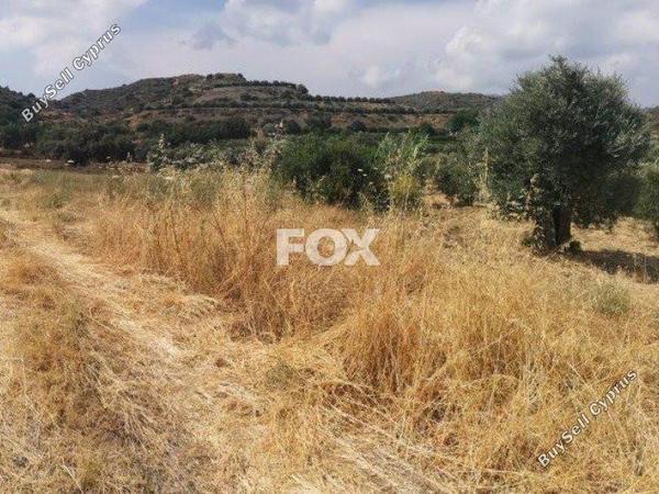 land for sale eptagoneia limassol 1146705 image 5501929