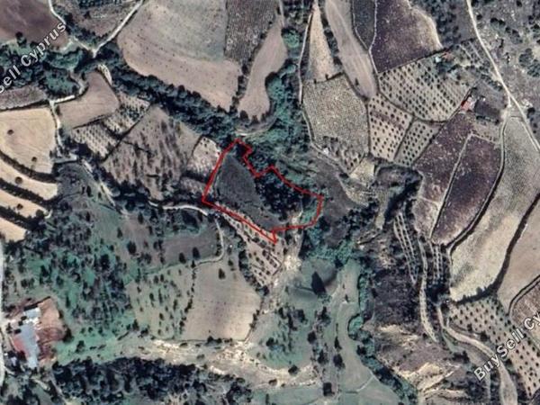land for sale kallepeia paphos 8630705 image 15873957