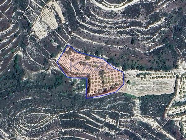 land for sale vouni limassol 8134705 image 13371828