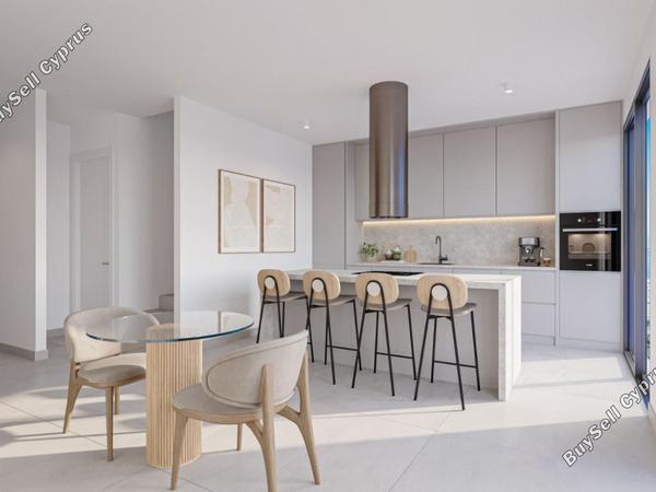 3 bedroom detached house for sale mesogi paphos 8395805 image 16047627