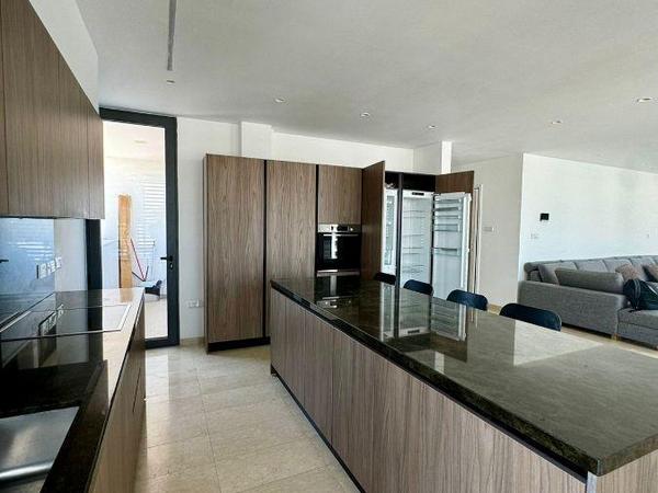 3 bedroom penthouse for sale agios nektarios limassol 7490805 image 9311908