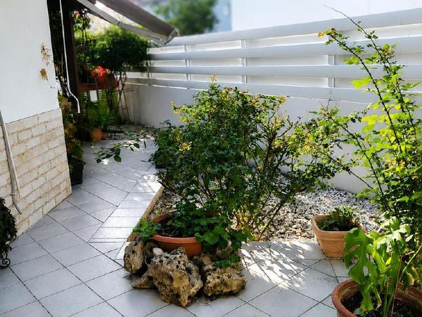 4 bedroom detached house for sale strovolos nicosia 8726805 image 16337124