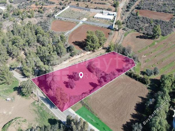 land for sale mosfiloti larnaca 7872805 image 13297818