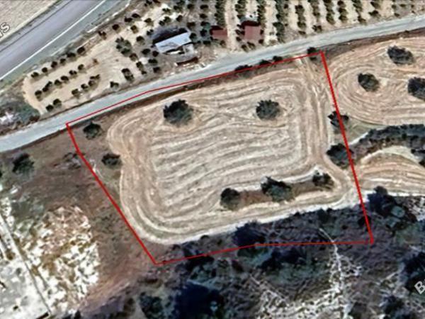 plot for sale anglisides larnaca 8863805 image 17172623