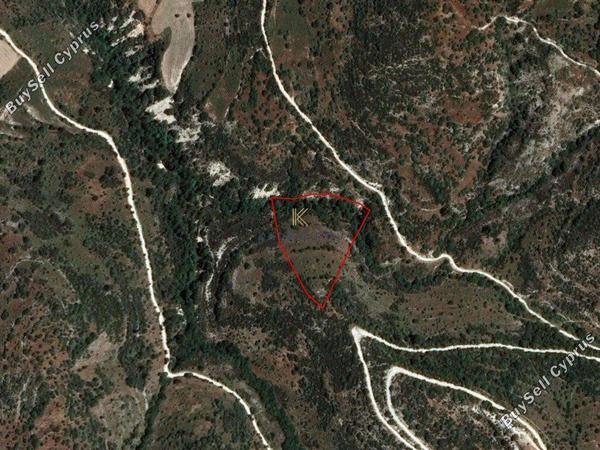 plot for sale dora limassol 1194805 image 5570782