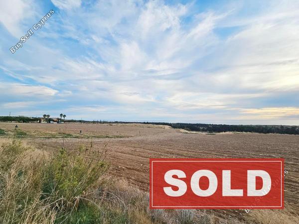 land sold kouklia pafou paphos 7929905 image 11253803