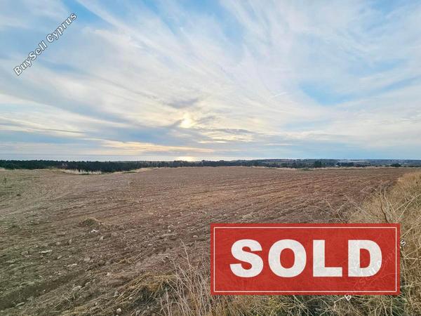 land sold kouklia pafou paphos 7929905 image 11253804
