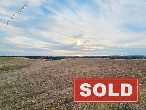 land sold kouklia pafou paphos 7929905 image 11253805