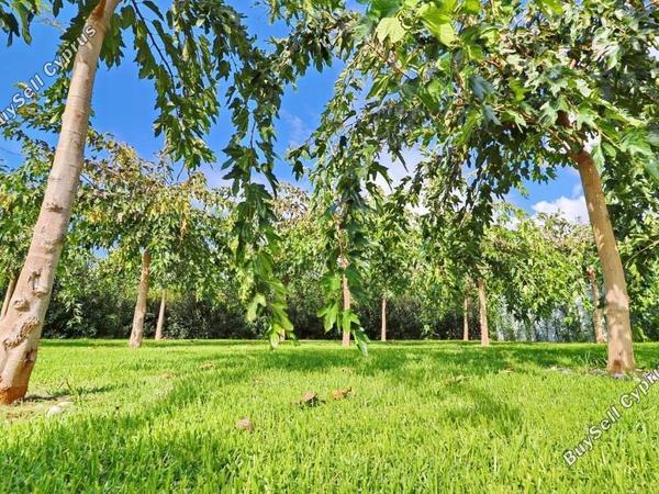 2 bedroom apartment for sale coral bay paphos 7739015 image 12165418