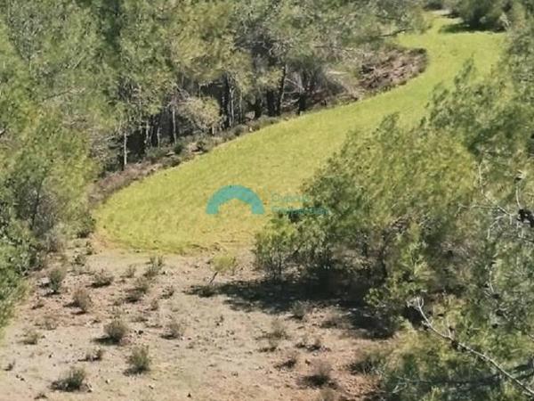 land for sale klirou nicosia 8374015 image 14598438