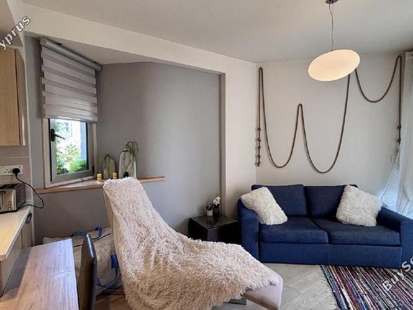 1 bedroom apartment for sale potamos germasogeias limassol 8206115 image 14975196