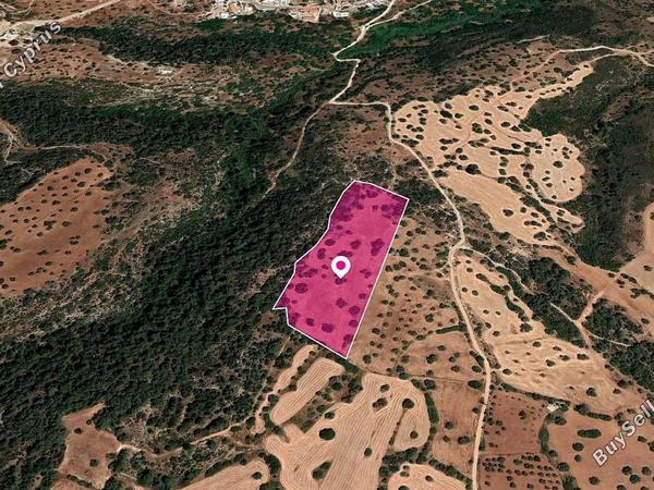 land for sale neo chorio paphos 1057115 image 16210313