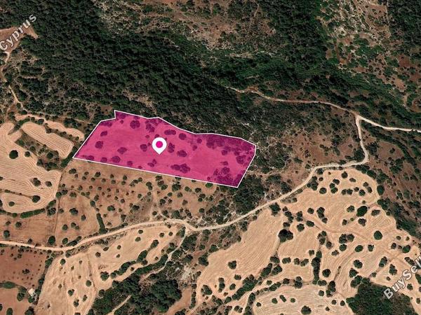 land for sale neo chorio paphos 1057115 image 16210325