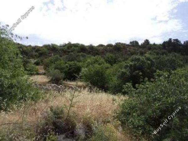 land for sale terra paphos 7806115 image 17601378