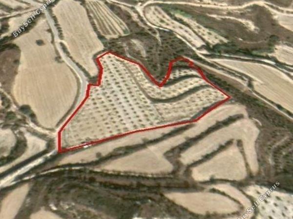 plot for sale tsada paphos 1685115 image 4408830