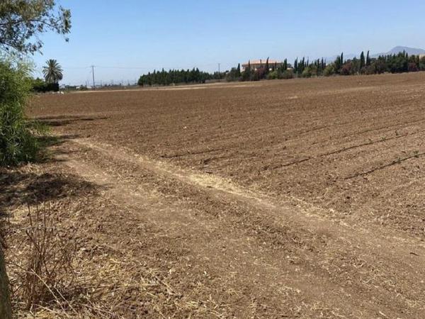 land for sale pervolia larnaca 1176215 image 12601529