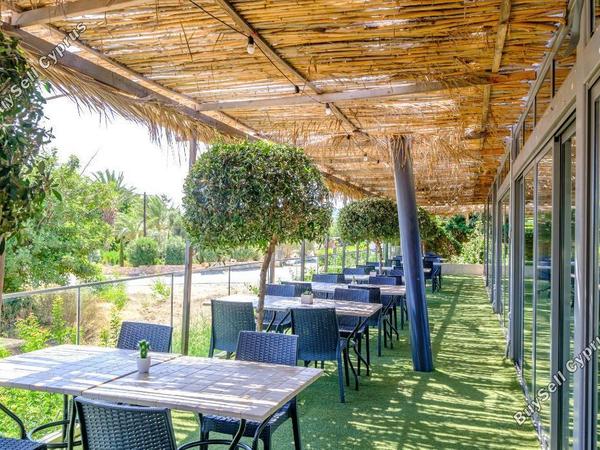1 bedroom apartment for sale latsi paphos 8387315 image 14754112