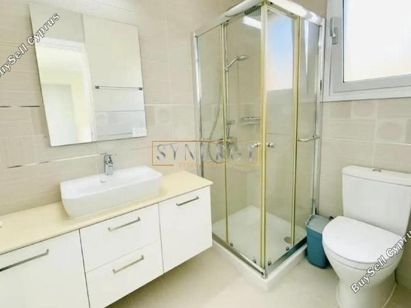 3 bedroom detached house for rent mouttalos paphos paphos 8699315 image 16255199