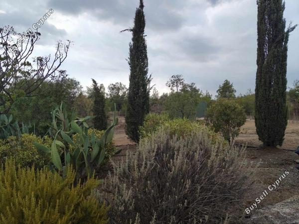 4 bedroom detached house for sale mosfiloti larnaca 8203315 image 13675913